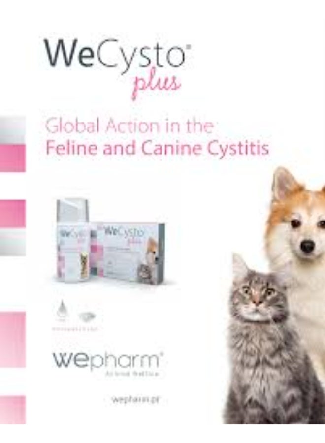WePharm WeCysto Plus Urinary Support Edible Gel for Dogs & Cats Bladder Health & Stress Control  50 ml From Varmacy - Image 4